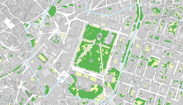 Uittreksel uit de kaart van de verdeling van hoge en lage vegetatiebedekking (2021)