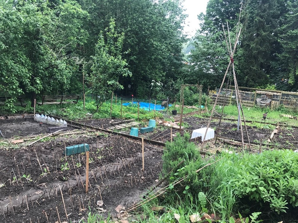 Le potager des Jardins de la Vignette