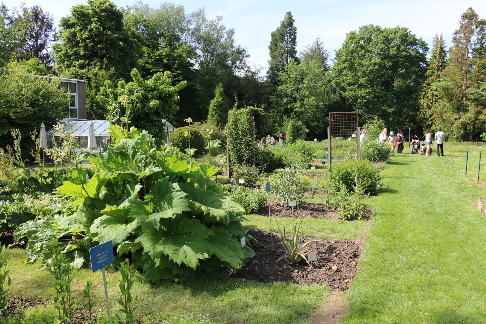 Jardin Massart mai 2022