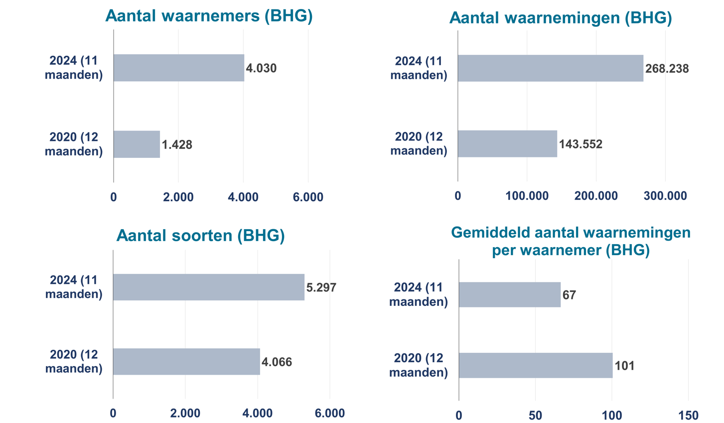 Grafiek: in 4 jaar tijd is het aantal waarnemers en waarnemingen in het Brussels Gewest respectievelijk bijna verdrievoudigd en verdubbeld