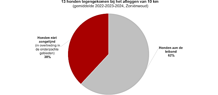 Grafiek: Gemiddeld komt een persoon die 10 km wandelt in de 2 onderzochte zones 13 honden  tegen, waarvan 5 niet aangelijnd