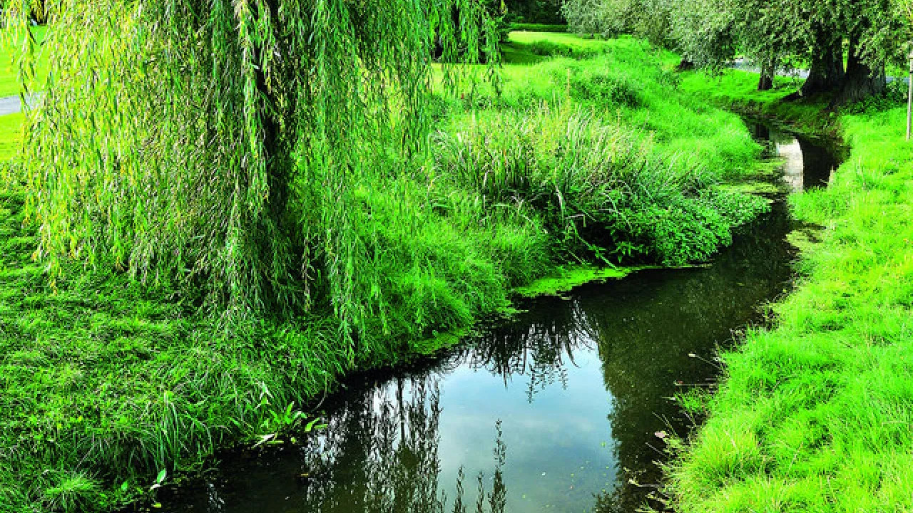Parc Seny