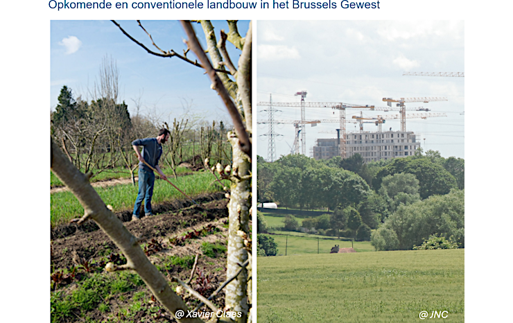 ILLU_2_EE26_agricpro_photo1_NL.png