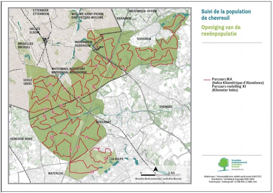 Map: Elk jaar worden 24 parcours gevolgd om de evolutie van de reeënpopulaties in het Zoniënwoud in kaart te brengen 
