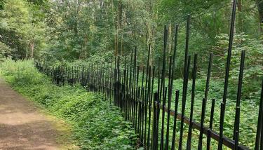 Chemin de la promenade verte