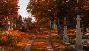 Une allée bordée de tombes dans un paysage d'automne.