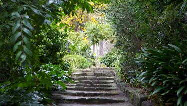Escalier dans un parc