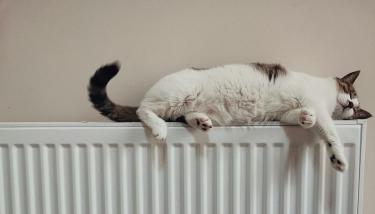 Radiateur avec un chat couché