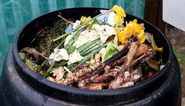 Banner 10 bonnes raisons de composter au jardin… ou sur son balcon