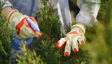 Personne qui utilise des pesticides.