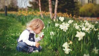 Illustration : un bambin assis dans l'herbe devant un parterre de fleurs sent un lis de Pâques blanc.